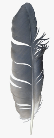 Решение рисунок 1