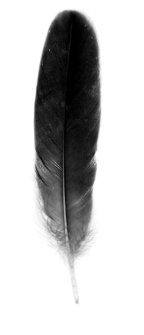 Решение рисунок 2