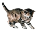 Задание рисунок 3